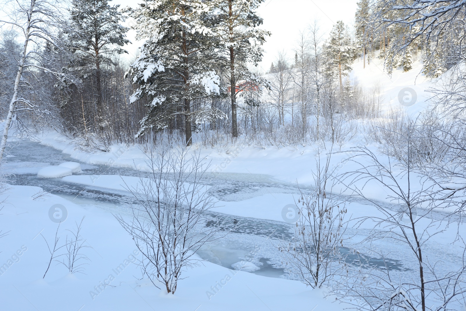 Photo of Picturesque view of frozen pond and trees covered with snow outdoors. Winter landscape