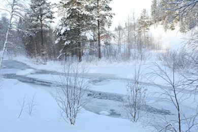 Picturesque view of frozen pond and trees covered with snow outdoors. Winter landscape