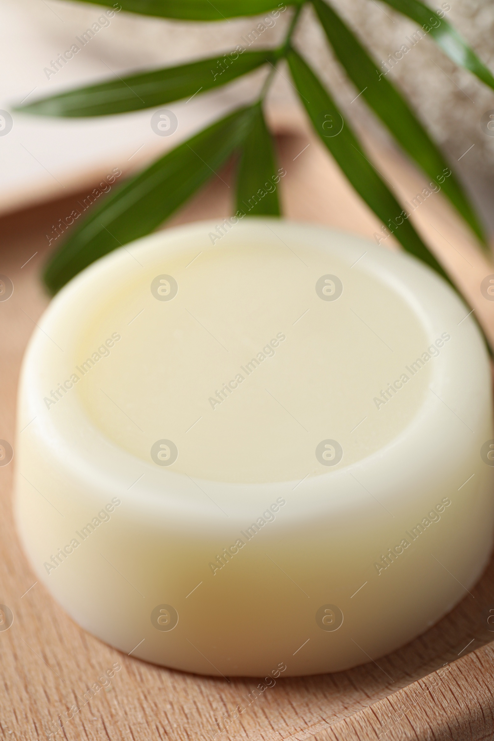 Photo of Dish with solid shampoo bar, closeup view