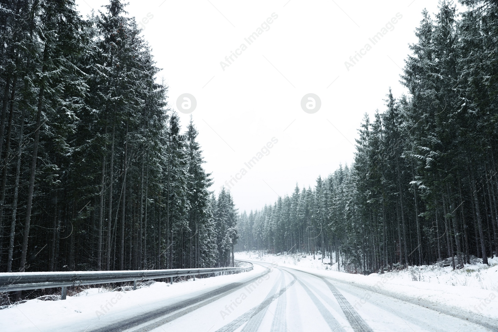 Photo of Beautiful landscape with conifer forest and road on snowy winter day