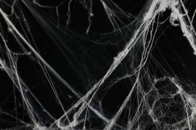 Creepy white cobweb on black background, closeup