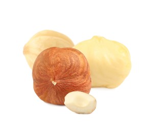 Image of Tasty organic hazelnuts on white background. Healthy snack