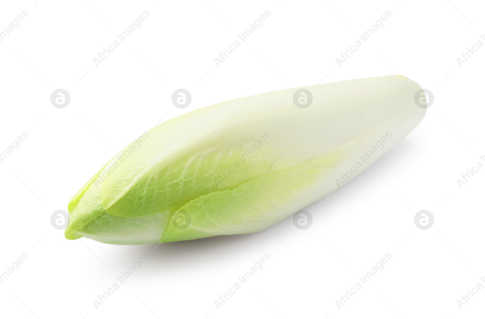 Photo of One raw ripe chicory isolated on white