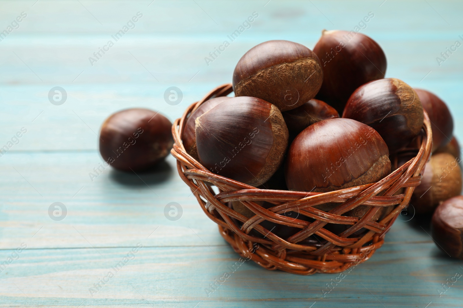 Photo of Wicker bowl with roasted edible sweet chestnuts on light blue wooden table, closeup. Space for text