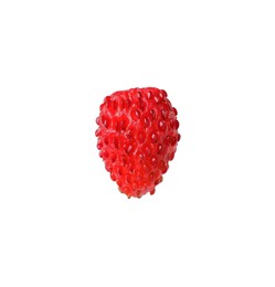 One ripe wild strawberry isolated on white