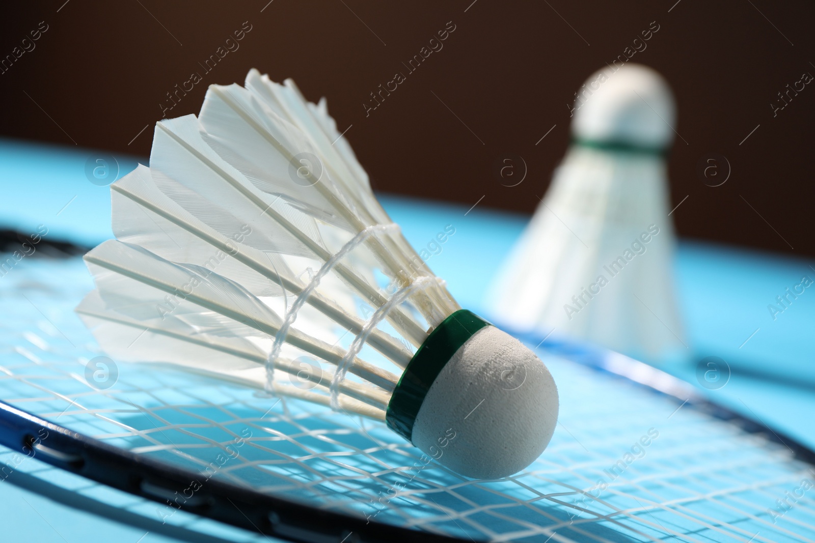 Photo of Feather badminton shuttlecocks and racket on court, selective focus