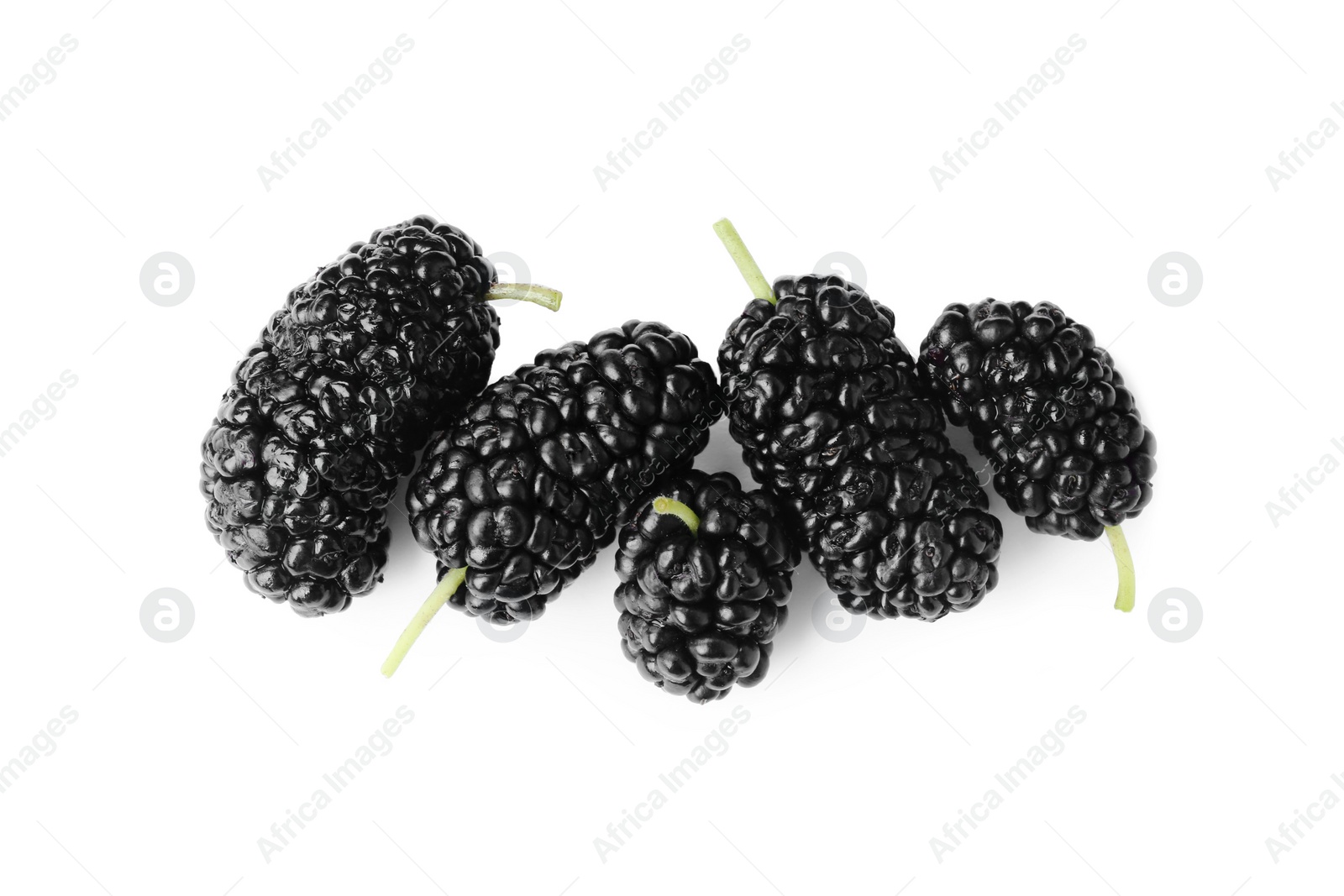 Photo of Many fresh ripe black mulberries on white background, top view