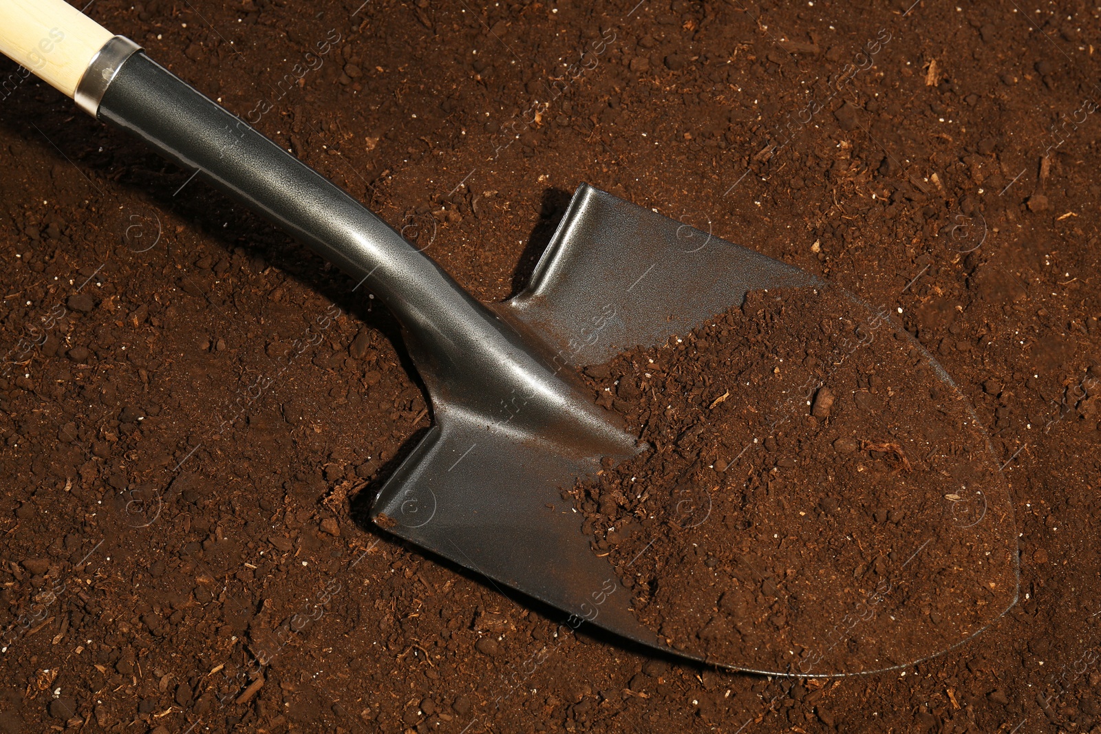 Metal shovel on fertile soil. Gardening tool Photo of Metal shovel on fertile soil. Gardening tool