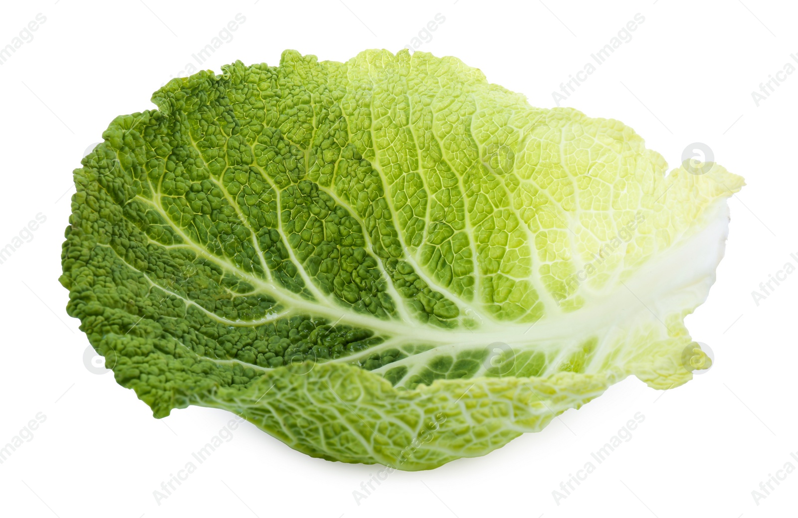 Photo of Fresh leaf of savoy cabbage isolated on white