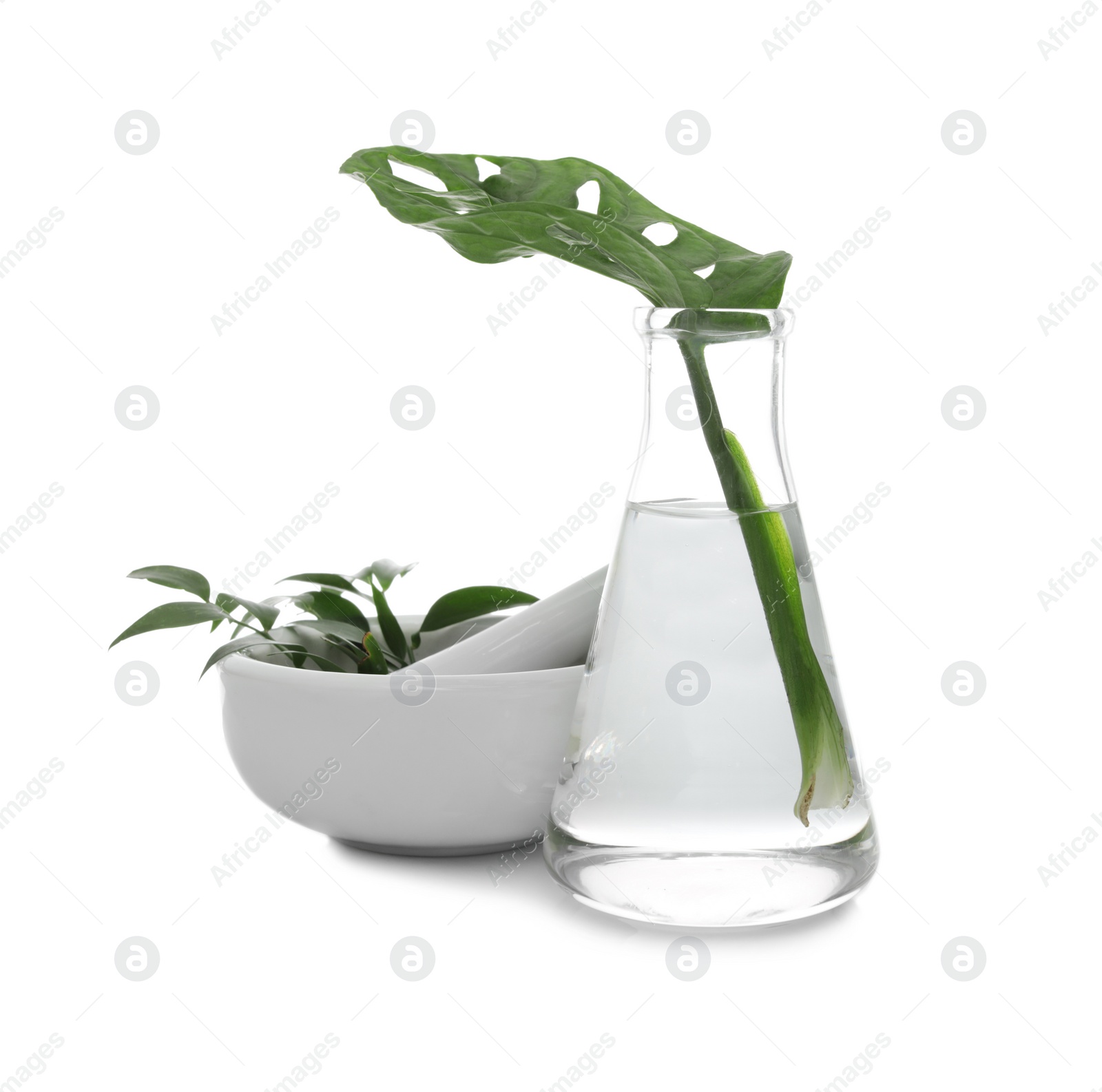 Photo of Flask and mortar with exotic plants isolated on white. Organic chemistry