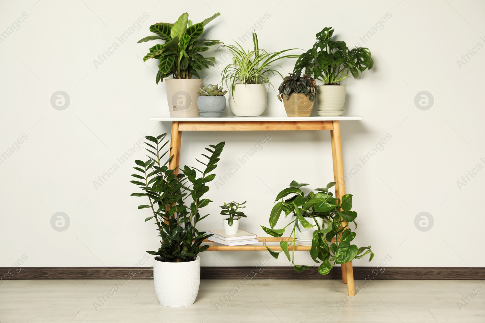 Photo of Wooden table and beautiful houseplants near light wall