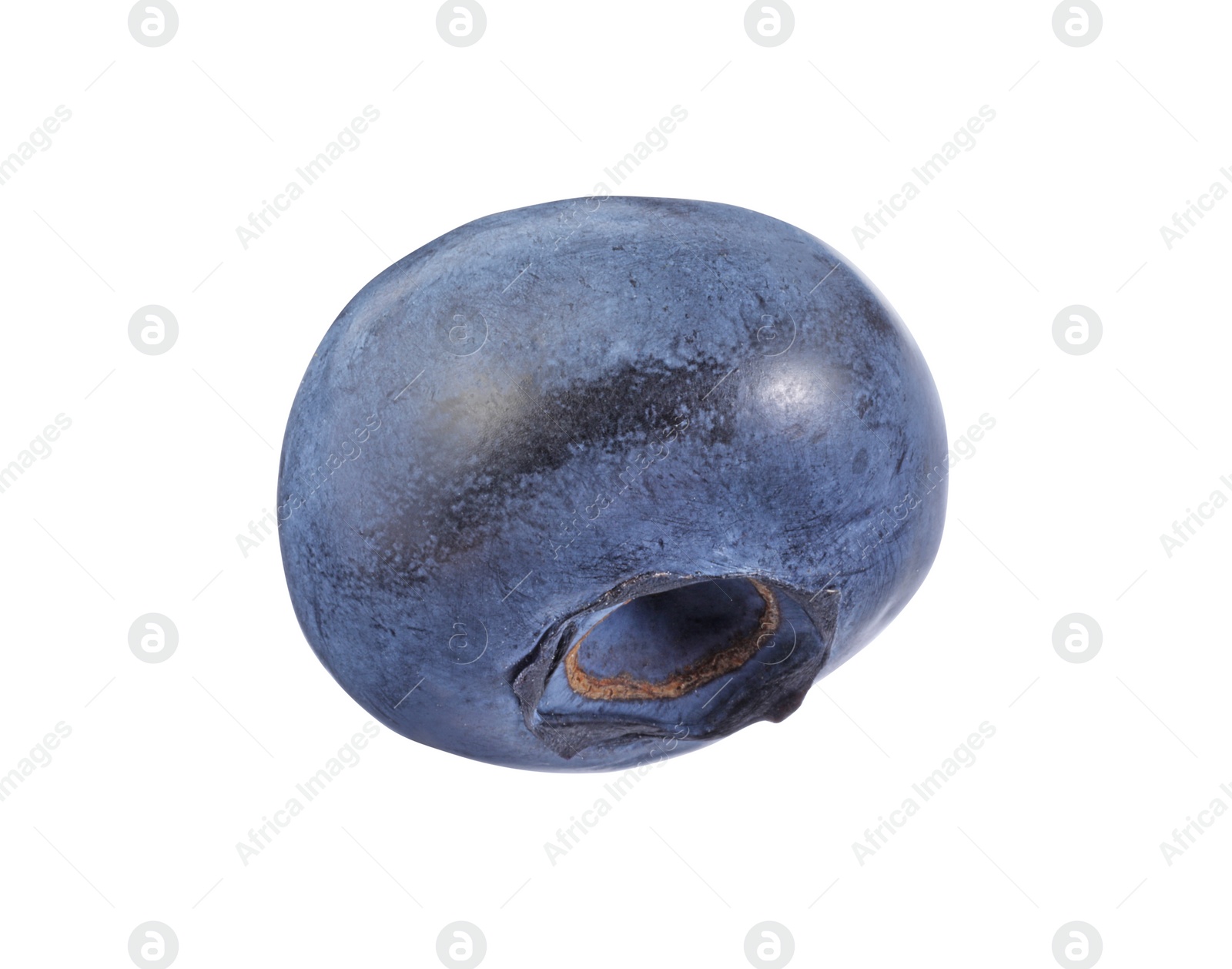 Photo of One fresh ripe blueberry isolated on white