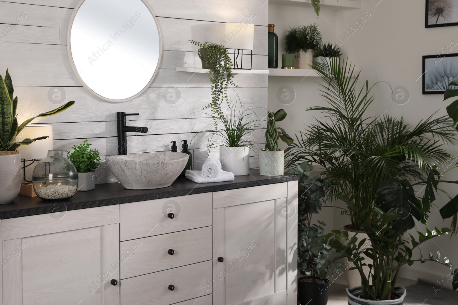 Photo of Stylish bathroom interior with vessel sink and beautiful plants