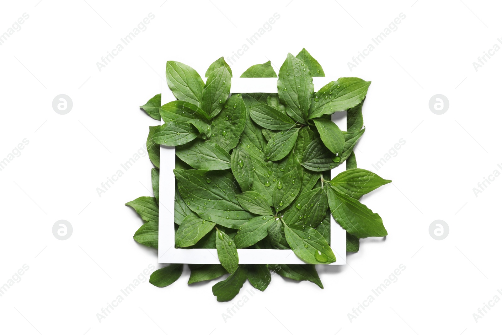 Photo of Composition with green leaves on white background, top view