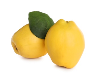 Photo of Fresh ripe quinces with leaf on white background