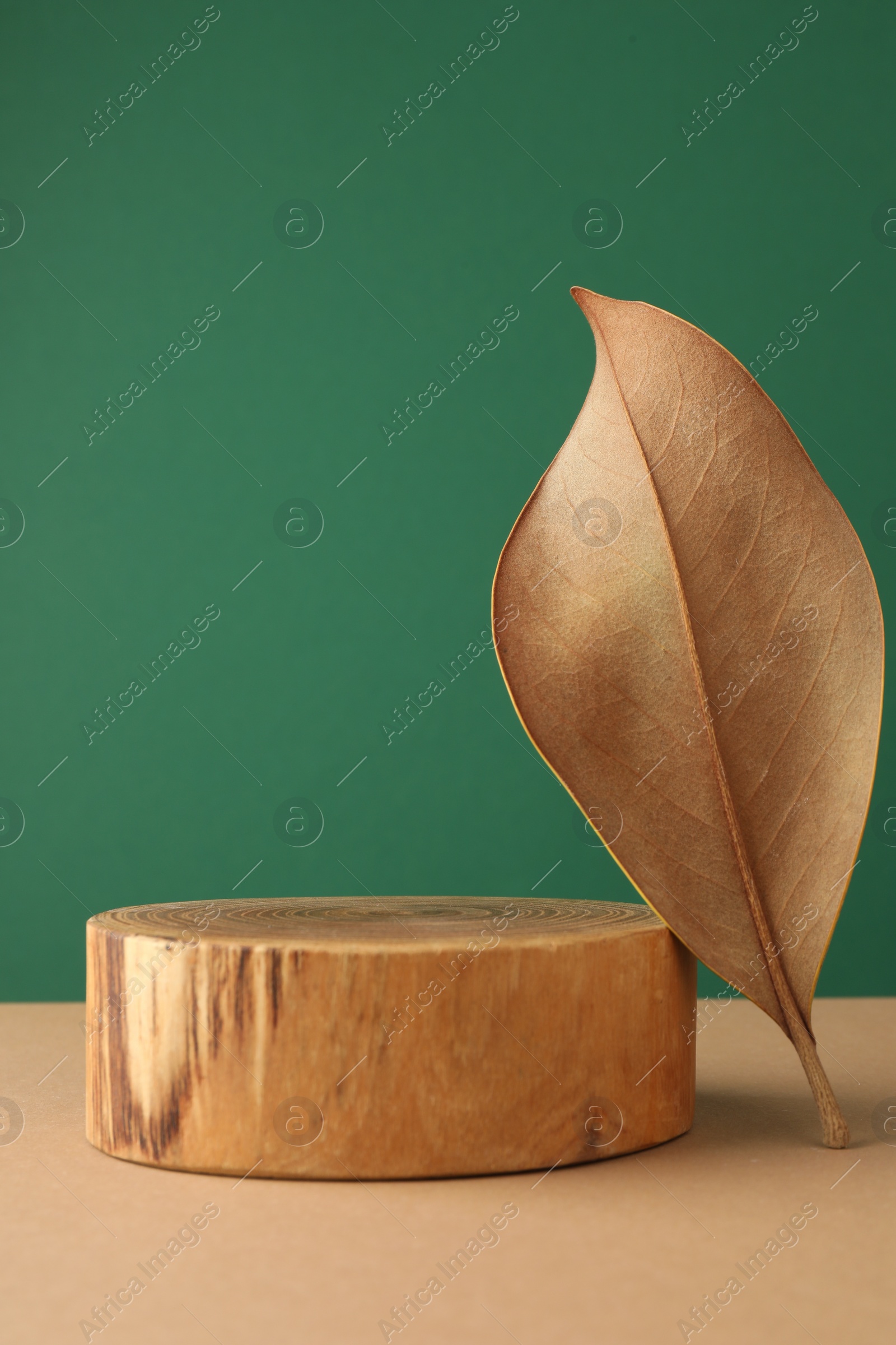 Photo of Presentation for product. Wooden podium and dry leaf on color background. Space for text