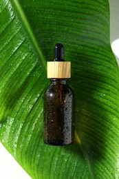 Photo of Bottle of cosmetic product and wet green leaf on white background, top view