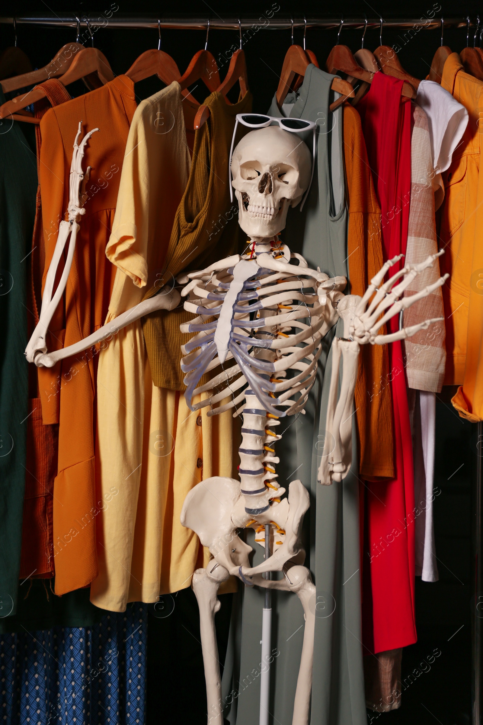 Photo of Artificial human skeleton model among clothes in wardrobe