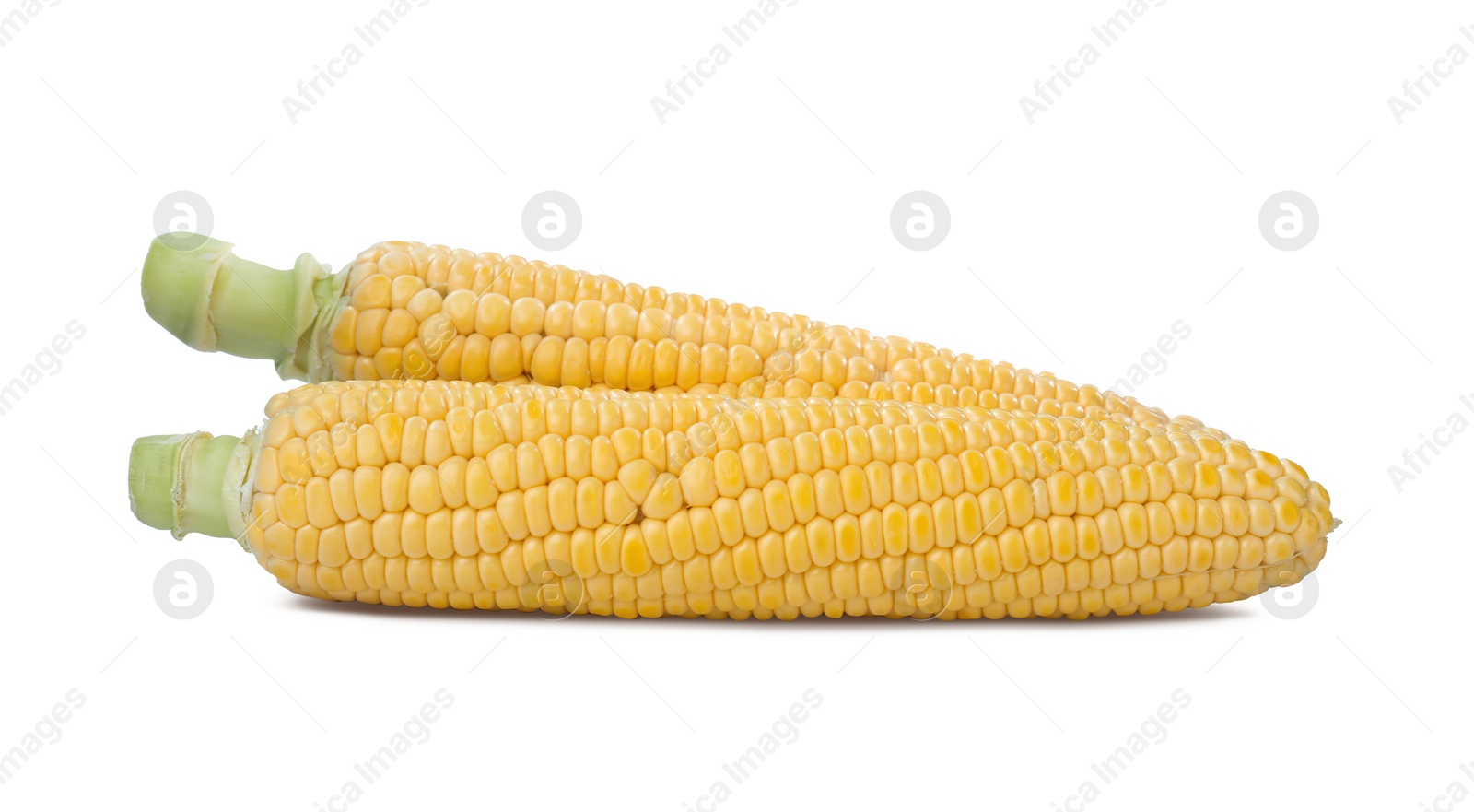 Photo of Tasty fresh corn cobs isolated on white