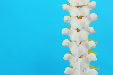 Photo of Artificial human spine model on blue background, closeup. Space for text