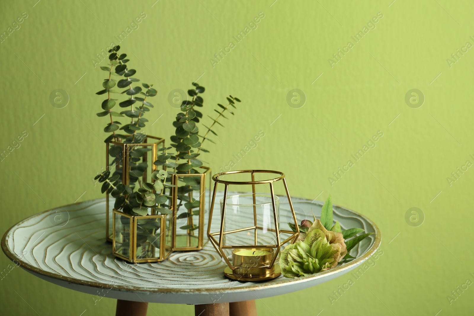 Photo of Stylish composition with burning candle and plants on stand against green background. Cozy interior element