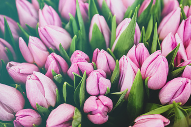 Image of Beautiful bouquet of violet tulip flowers as background, closeup