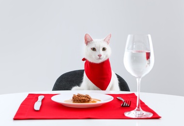 Photo of Cute cat sitting at served dining table against white background