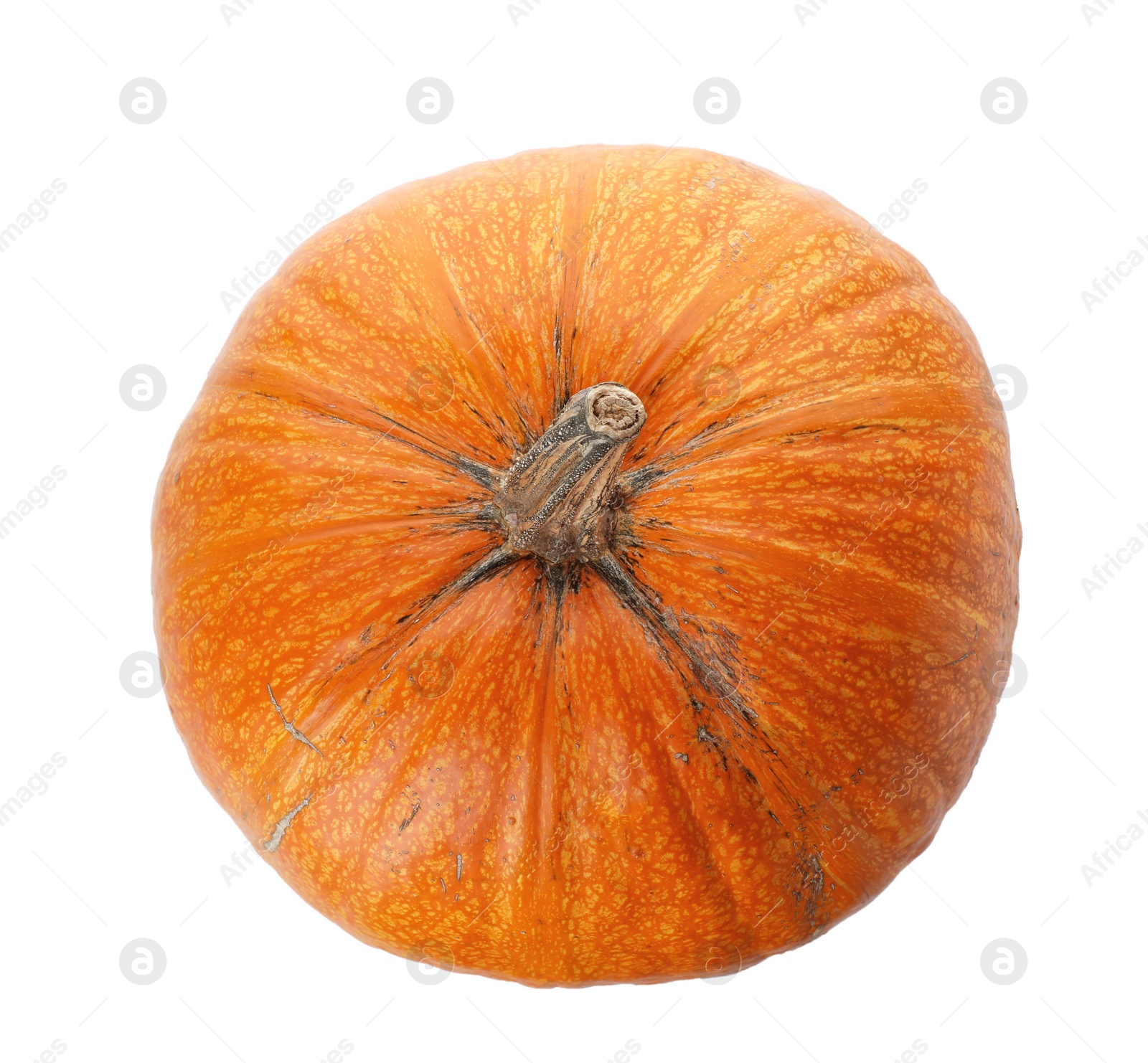 Photo of Fresh raw pumpkin isolated on white, top view. Organic plant