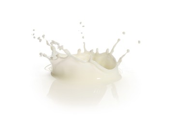 Splash of fresh milk on white background