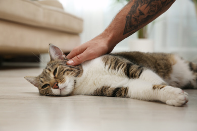Photo of Man stroking tabby cat on floor at home, closeup. Friendly pet