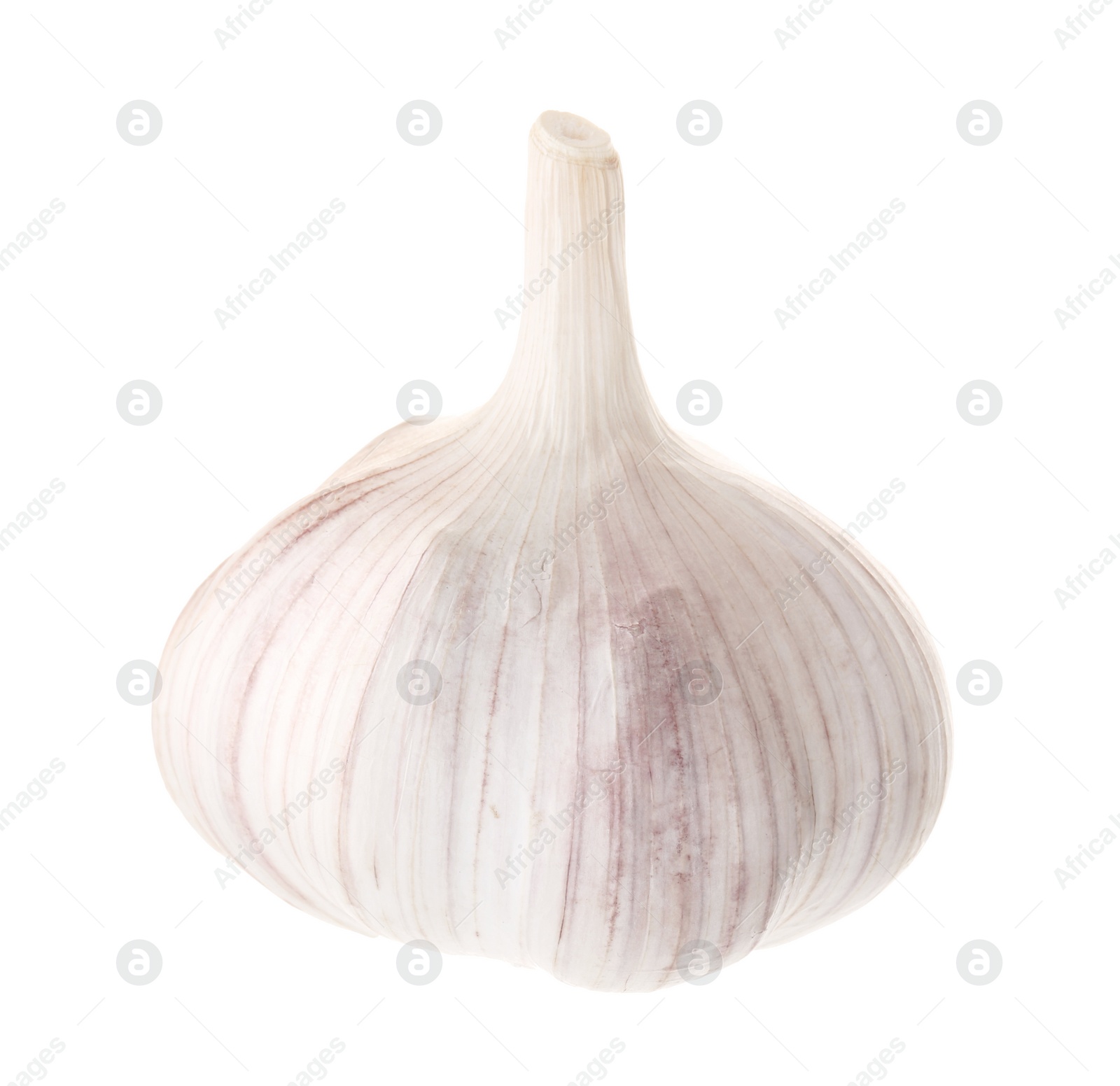 Photo of Unpeeled head of fresh garlic isolated on white