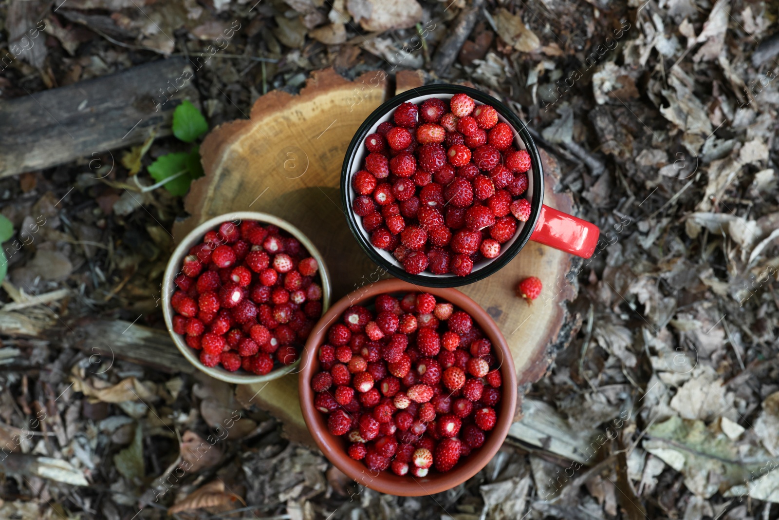 Photo of Dishes with tasty wild strawberries on stump outdoors, top view