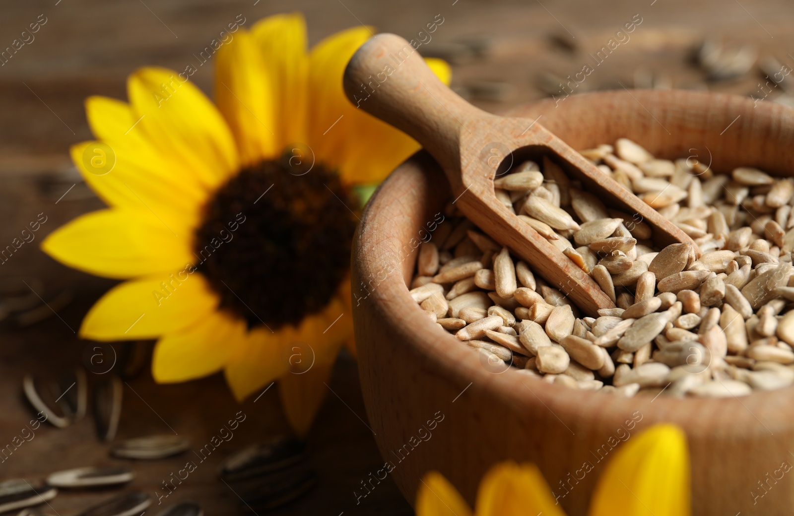 Photo of Organic sunflower seeds and flower on wooden table, closeup