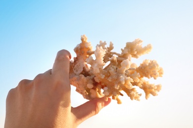 Woman holding beautiful coral against blue sky, closeup