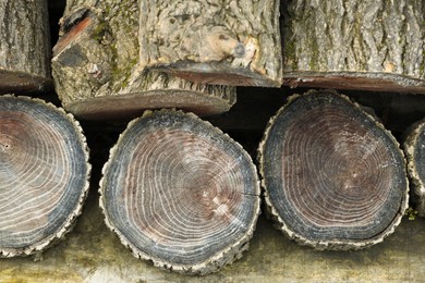 Pile of cut firewood, top view. Heating in winter