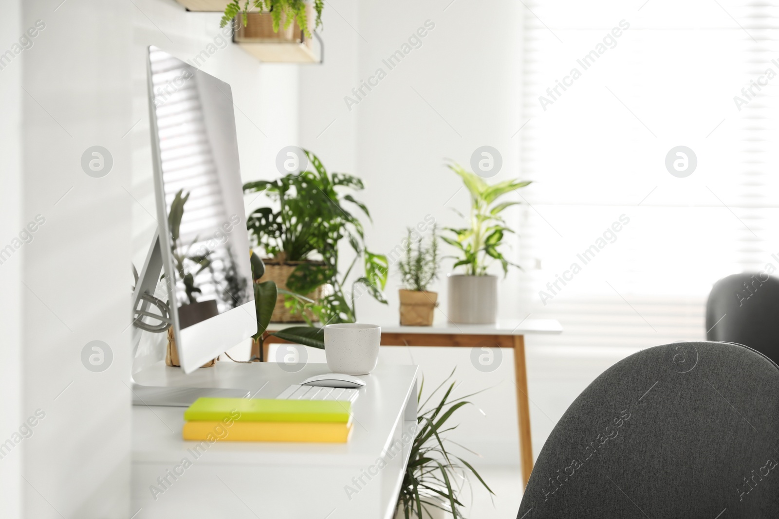 Photo of Modern workplace in room decorated with green potted plants. Home design