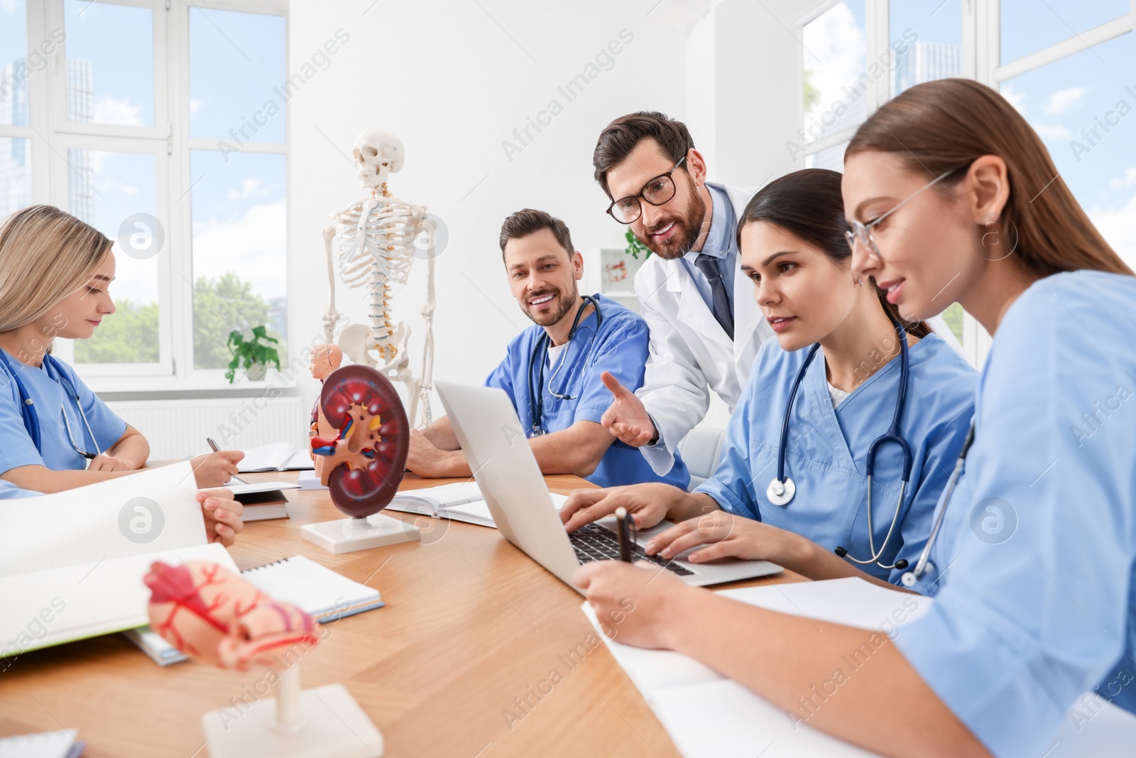 Photo of Doctor and interns using laptop in university