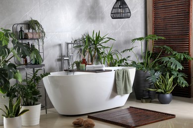 Modern white tub and beautiful green houseplants in bathroom. Interior design