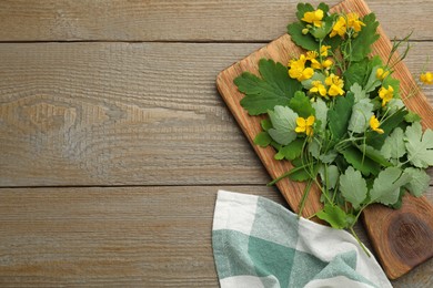 Celandine with beautiful yellow flowers and napkin on wooden table, flat lay. Space for text