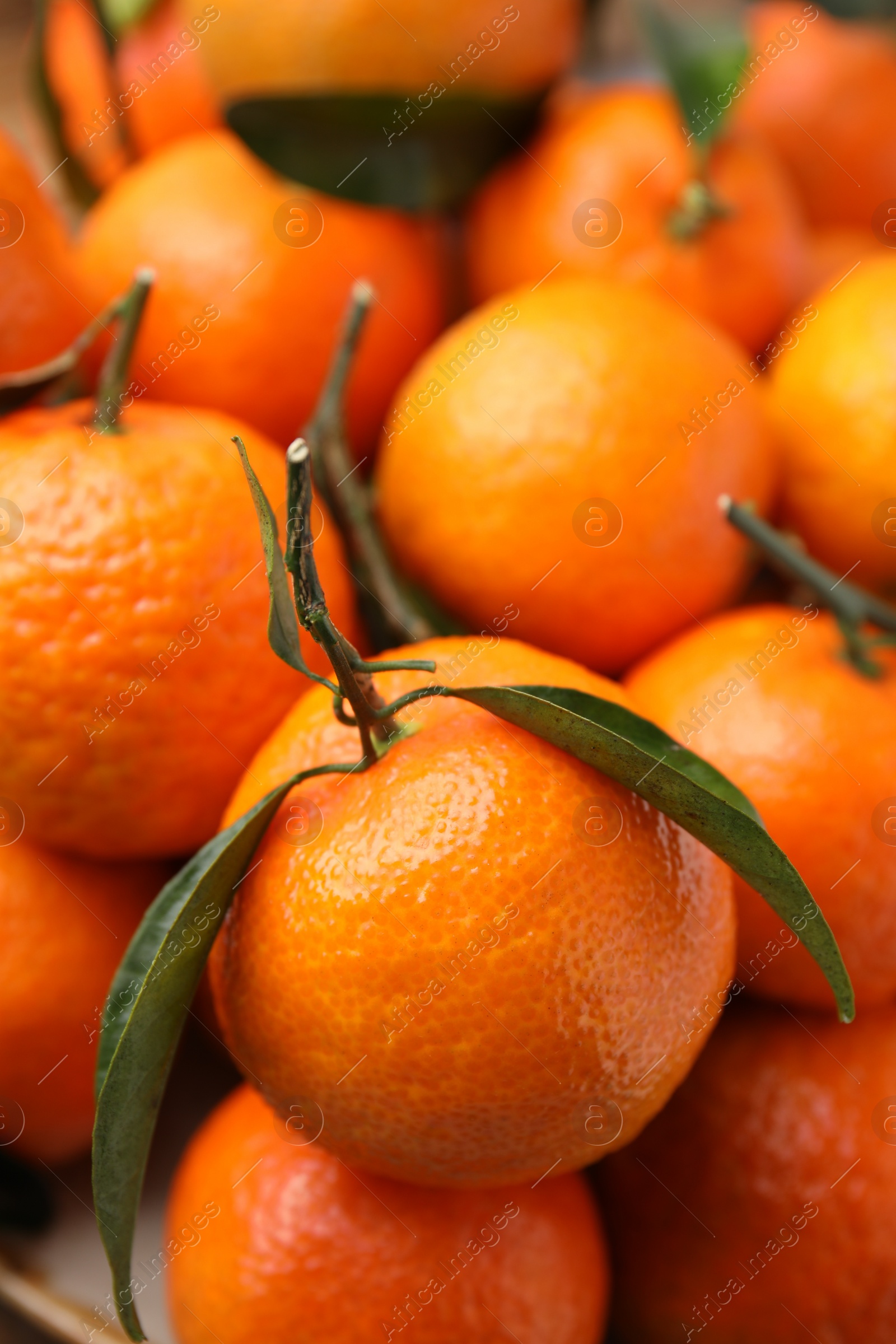 Photo of Fresh ripe tangerines and leaves as background, closeup