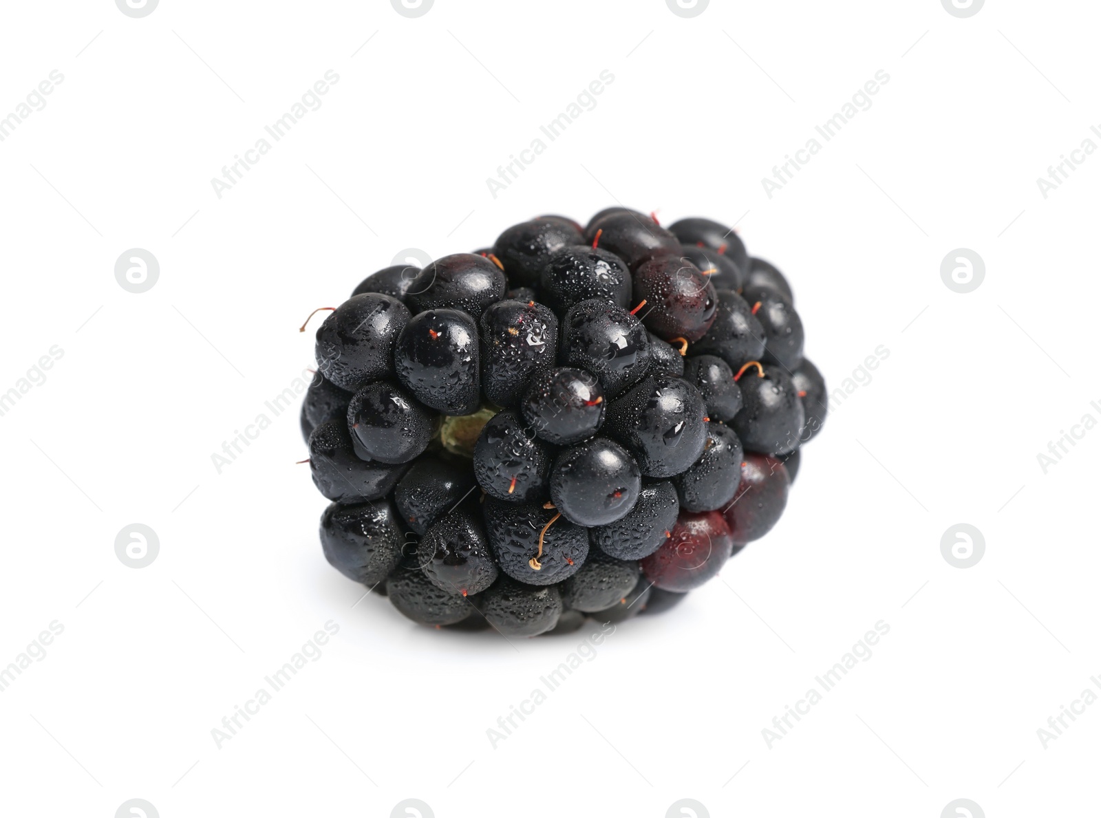 Photo of One tasty ripe blackberry isolated on white