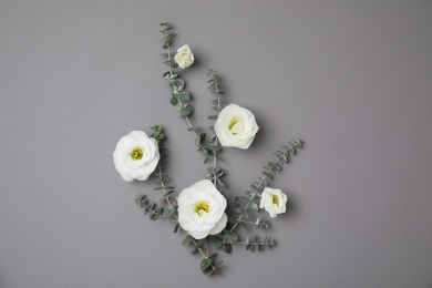 Photo of Flat lay composition with fresh eucalyptus leaves and flowers on color background