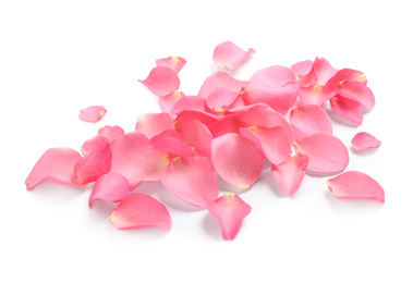 Fresh pink rose petals on white background