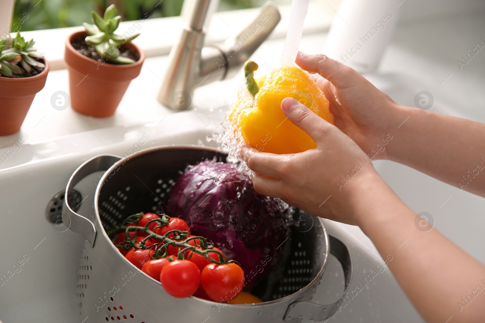 Photo of Woman washing fresh bell pepper in kitchen sink, closeup