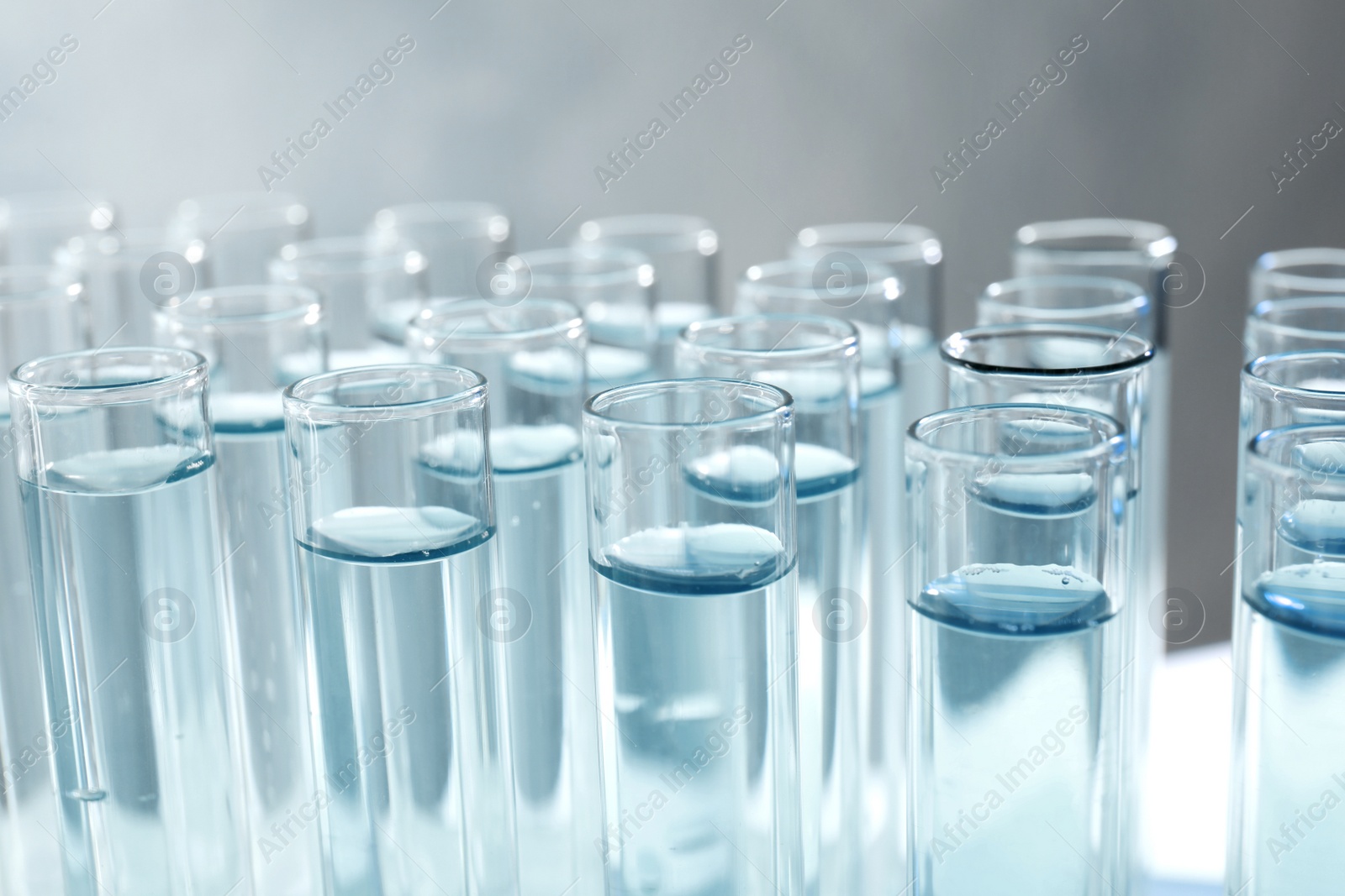 Photo of Many test tubes with light blue liquid on grey background, closeup