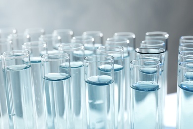 Many test tubes with light blue liquid on grey background, closeup