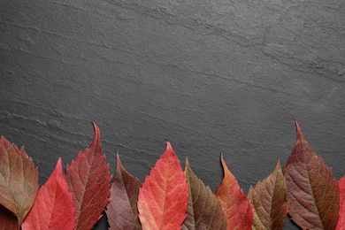 Photo of Flat lay composition with autumn leaves on dark grey stone background. Space for text