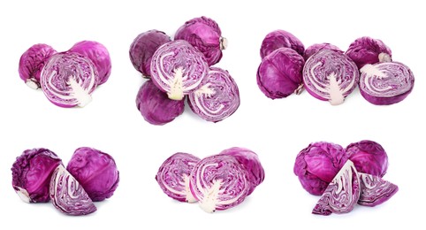 Image of Collage with whole and cut fresh red cabbages on white background