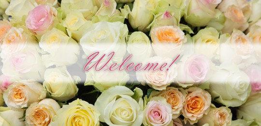 Welcome card. Bouquet of beautiful roses and word, closeup. Banner design