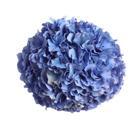Photo of Delicate blue hortensia flowers on white background, top view